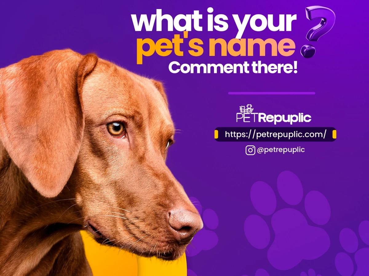 Pet Repuplic